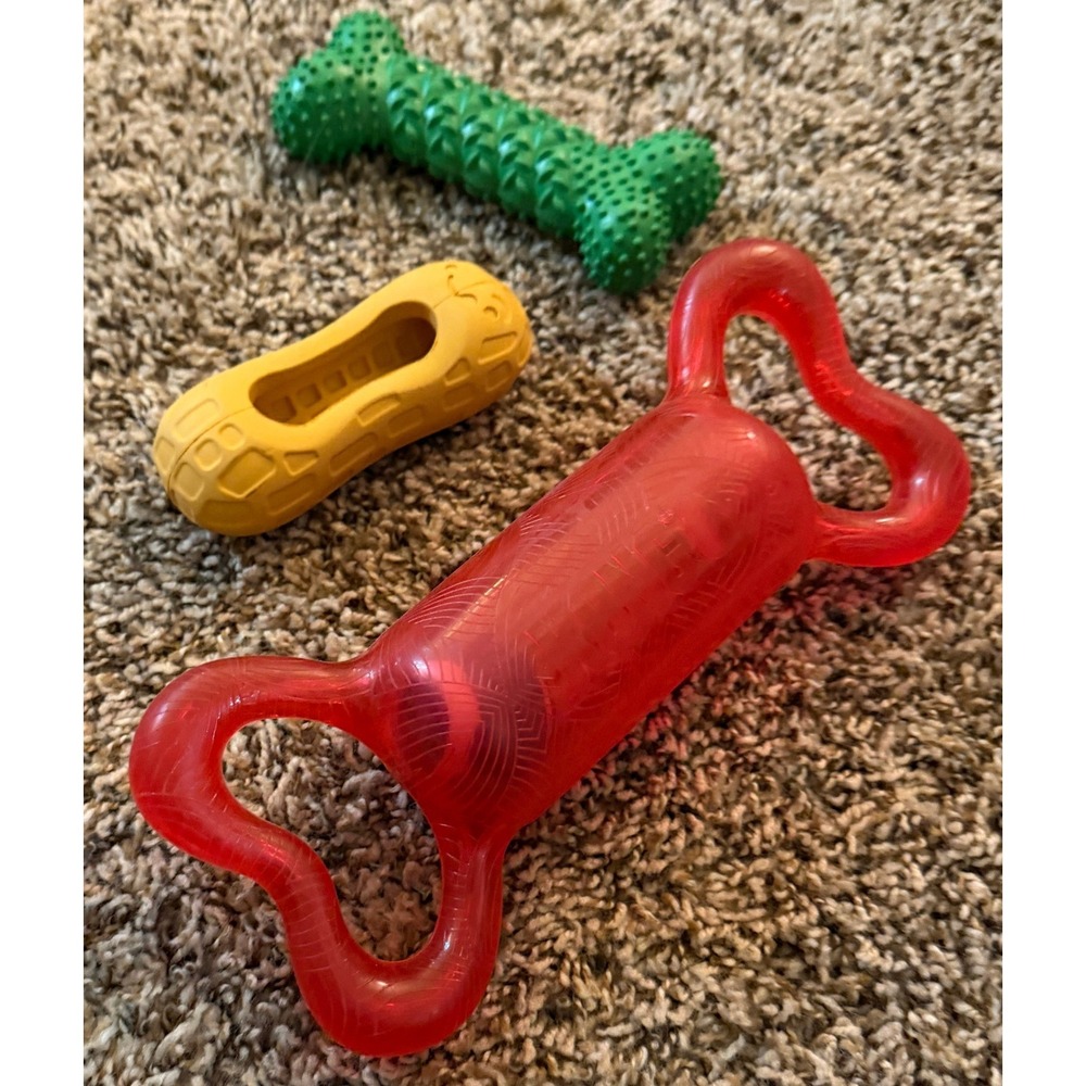 Kong-Nylabone X2 Dog Toys